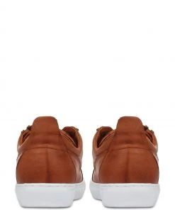 Jones Bootmaker Tan Mila Lace-Up Leather Trainers 8 Jones Bootmaker Tan Mila Lace-Up Leather Trainers -Jones Bootmaker Sales unnamed file 1783 scaled