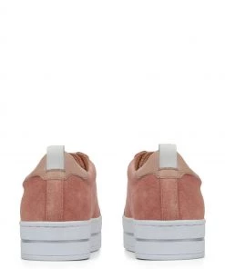 Jones Bootmaker Pink Alisha Leather Lace-Up Trainers -Jones Bootmaker Sales unnamed file 2065 scaled