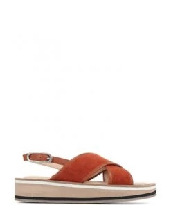 Jones Bootmaker Luise Brown Chunky Platform Sandals -Jones Bootmaker Sales unnamed file 2574